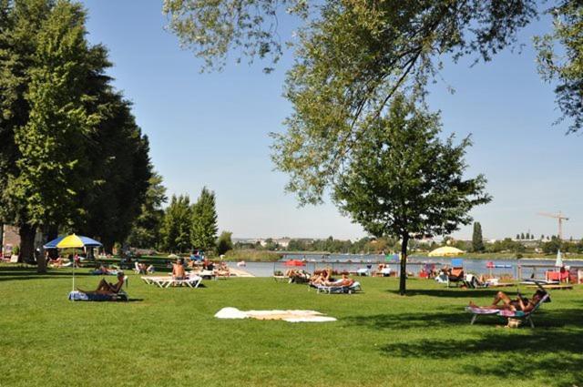 Schoenes Living Am Donauufer Wina Bagian luar foto